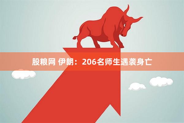 股粮网 伊朗：206名师生遇袭身亡