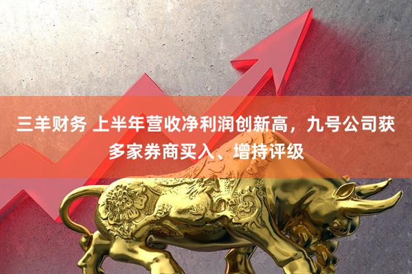 三羊财务 上半年营收净利润创新高，九号公司获多家券商买入、增持评级