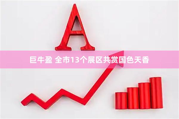 巨牛盈 全市13个展区共赏国色天香
